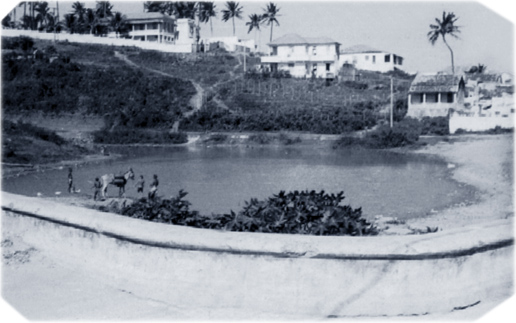 Seculo 20