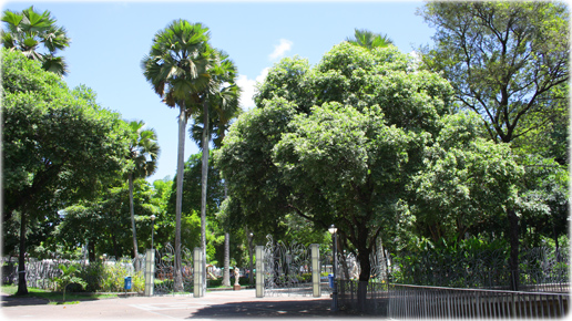 Parque