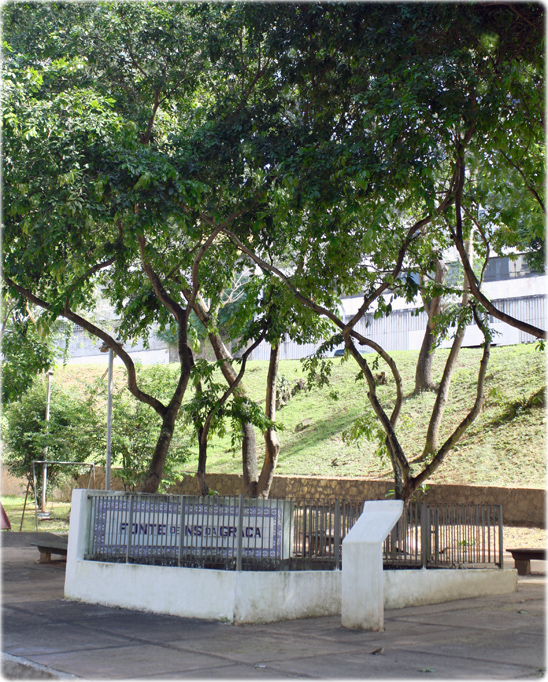 Fonte da Graça