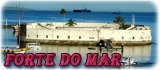 Forte mar